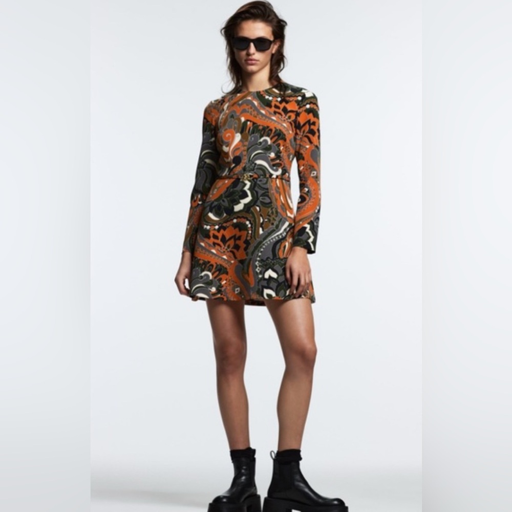 Zara Long Sleeve A line Dress